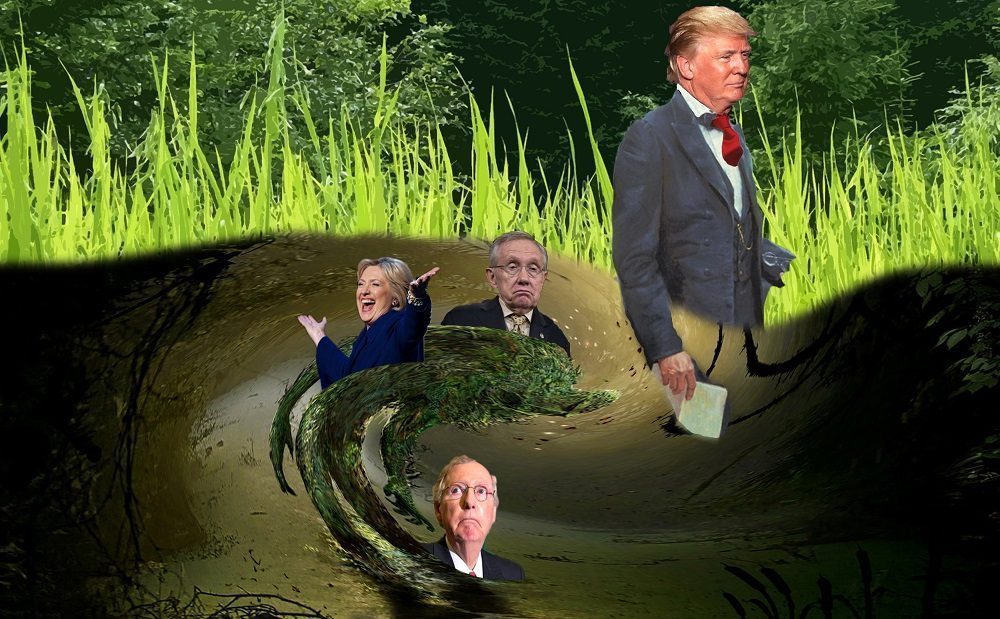 drain-the-swamp-s-donald-trump-really-draining-the-swamp-or-dipping-his-toe-in-2016-images