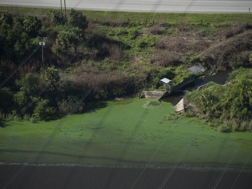 okeechobee636663989807643707-TCN-0705-LAKE-O-AERIALS-033