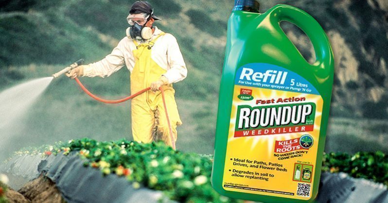 THS_June_12_03_Monsanto_roundup-798x418