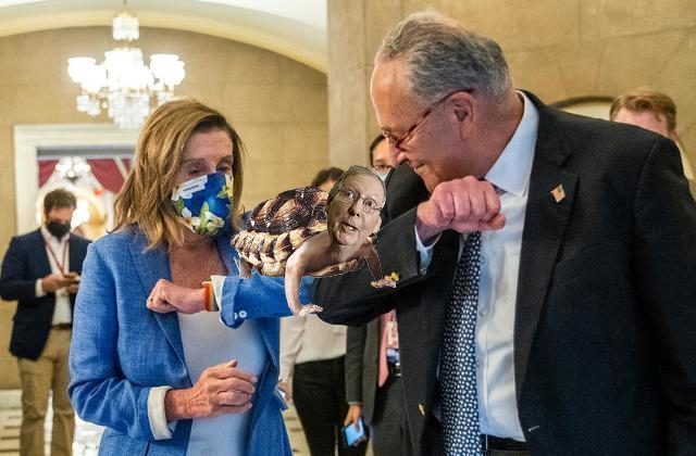 MCCONNELL, SCHUMER & PELOSI NOSE DIVE AT THE POLLS- TIME TO RECALL!