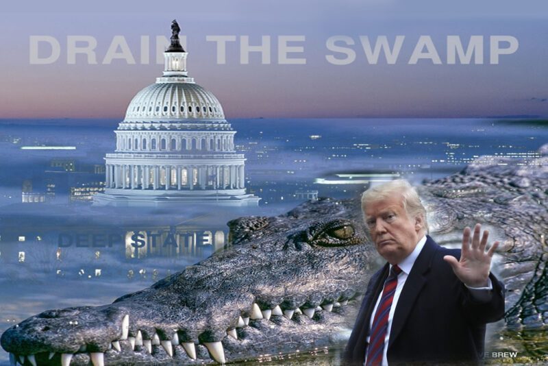 drain the swamp trump copy