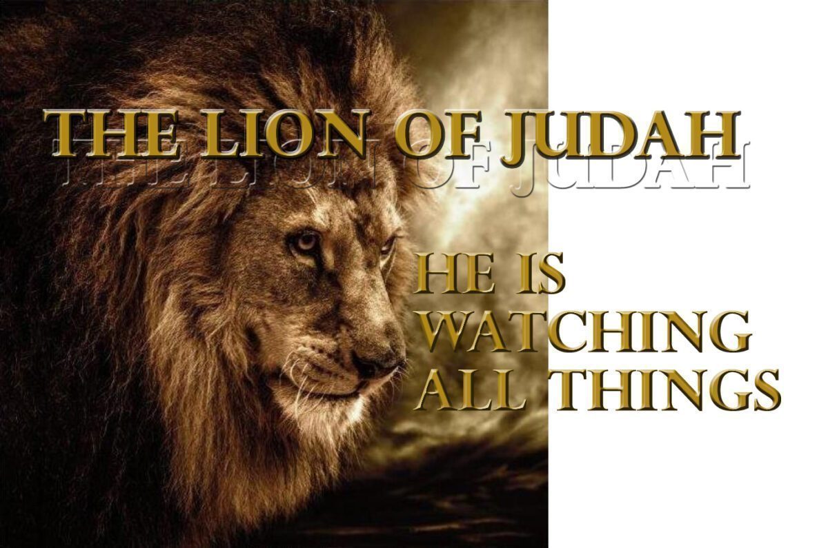 LION OF JUDAH copy