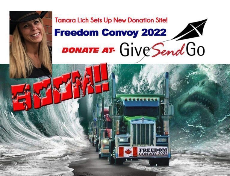 FREEDOM CONVOY 2022 The Marshall Report