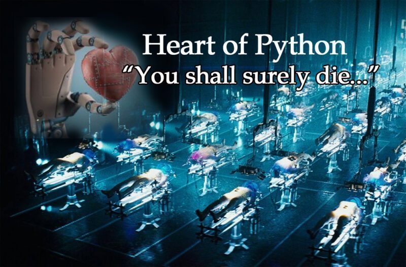 pythons heart