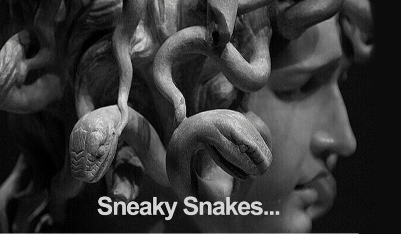 sneaky snakes