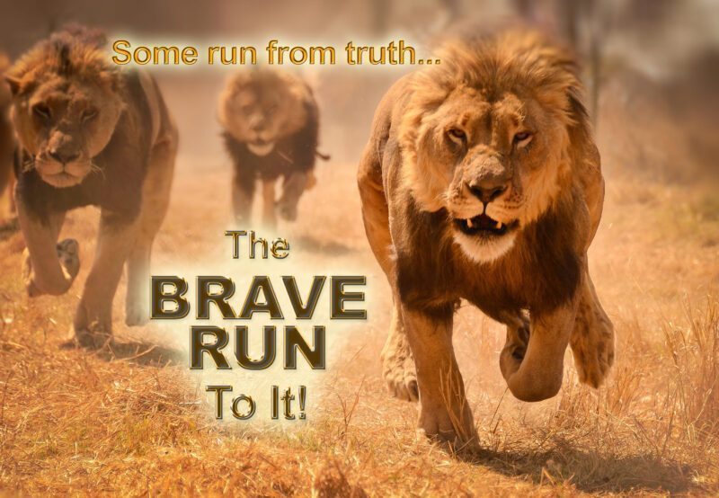 LIONS TRUTH copy