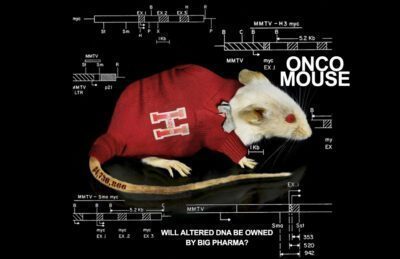 ONCO MOUSE