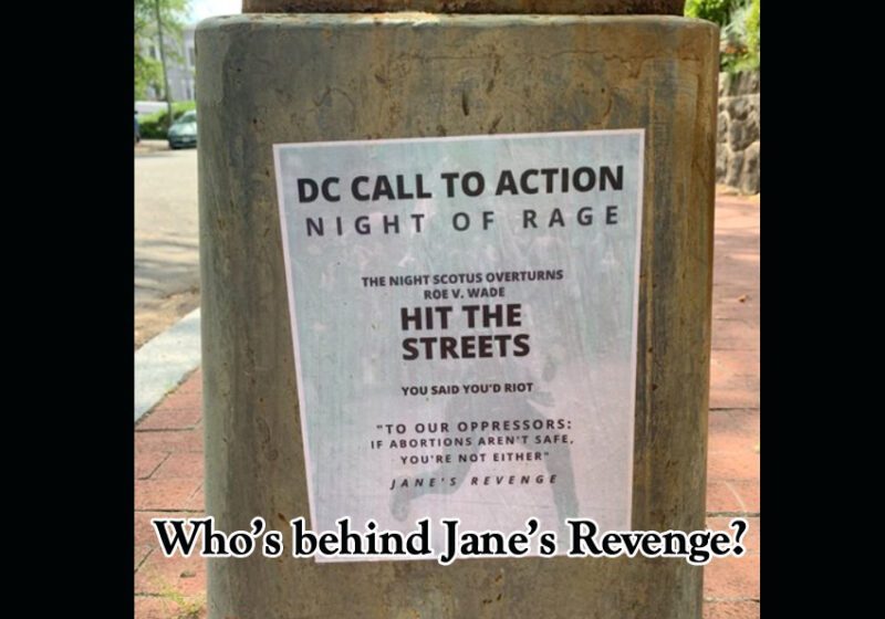 janes revenge
