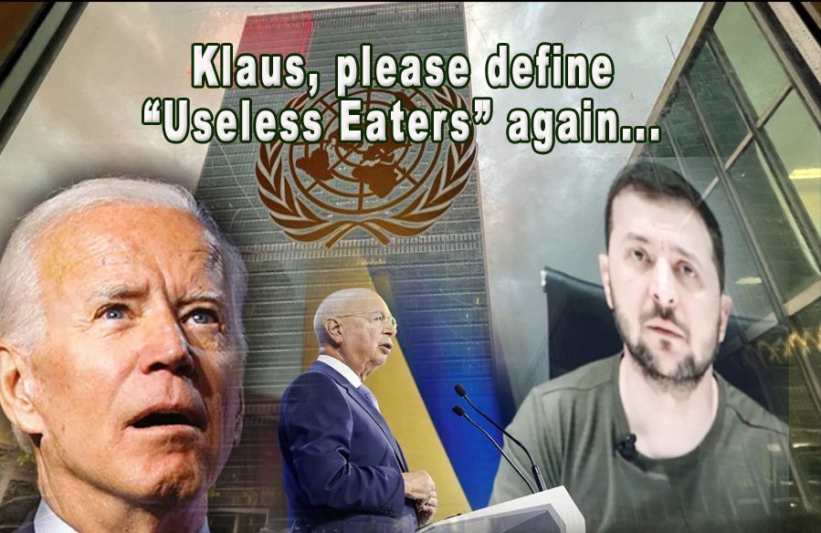 klaus useless eaters