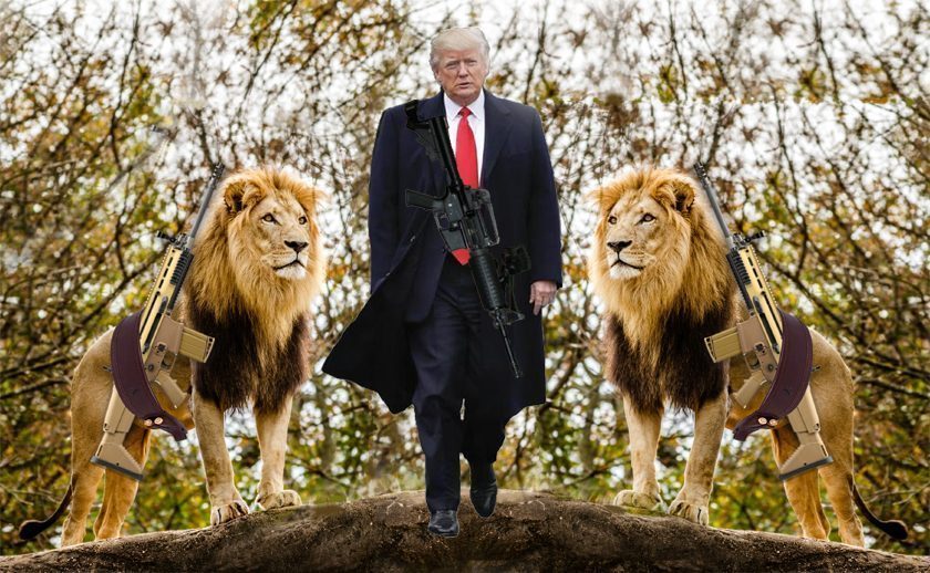 lions and trump 840