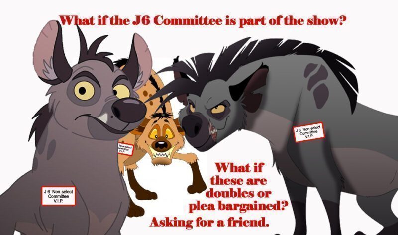 J 6 committee copy