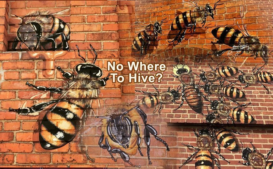 hive bee