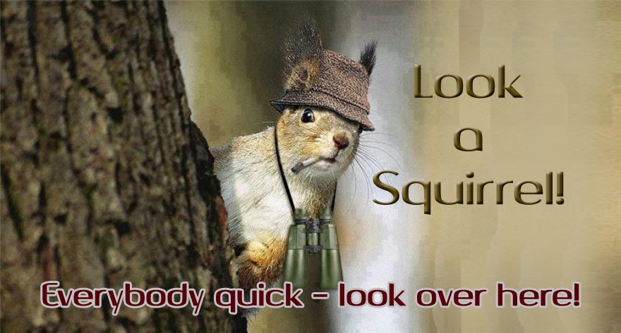 squirrell Untitled 111