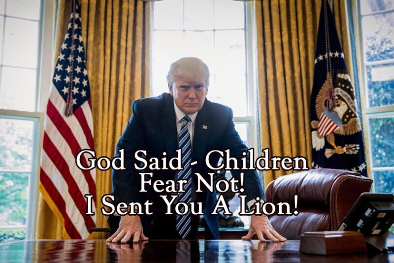 I sent you a lion