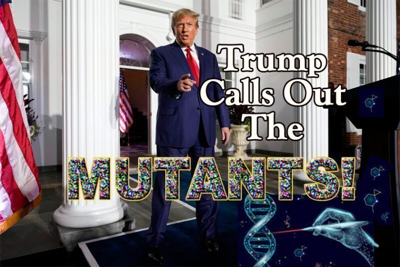 CALL OUT mUTANTS