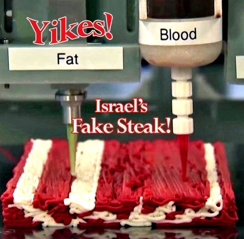 fake steak