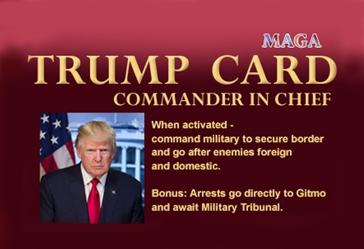 trump card commander in chiefgo