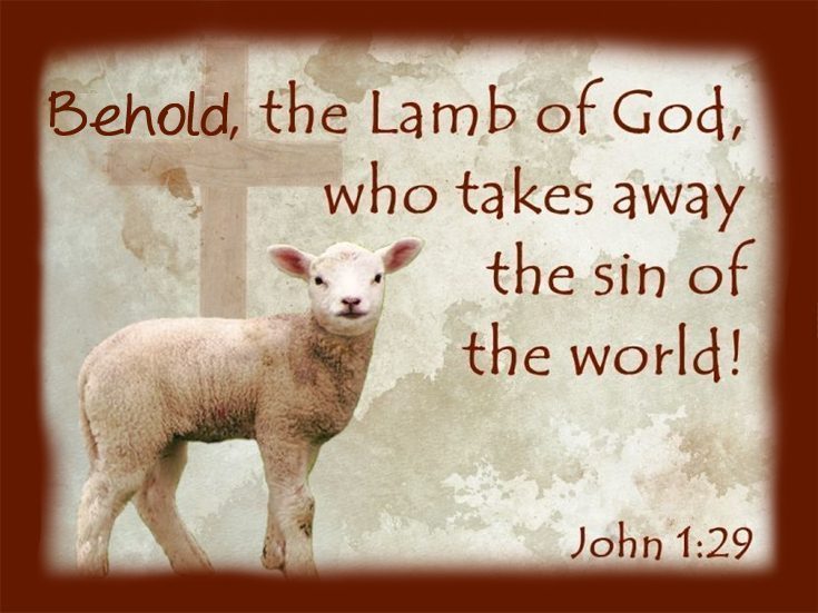 lamb of God