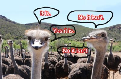ostrich it is