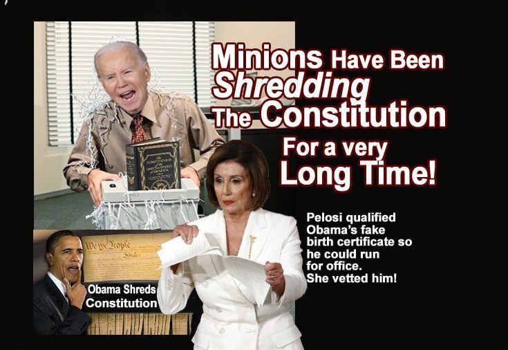 constitution shredded